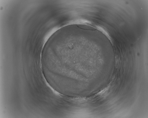 X0000073731103200608241250