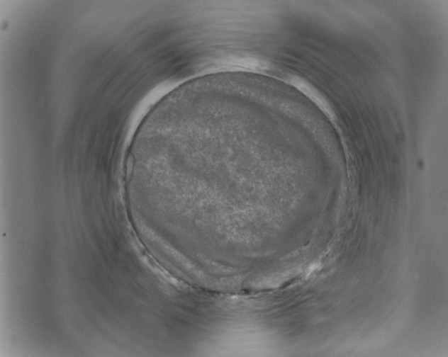 X0000073731104200608241250