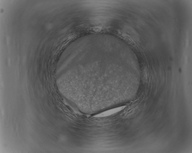 X0000073731105200608241250