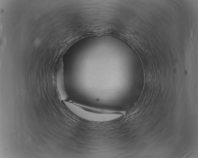 X0000073731106200608241250