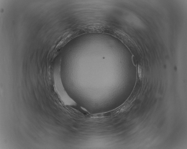 X0000073731107200608241250