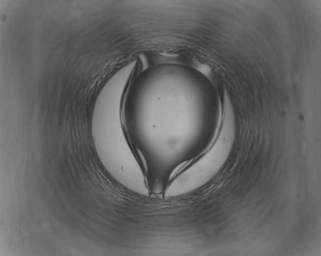 X0000073731108200608241250