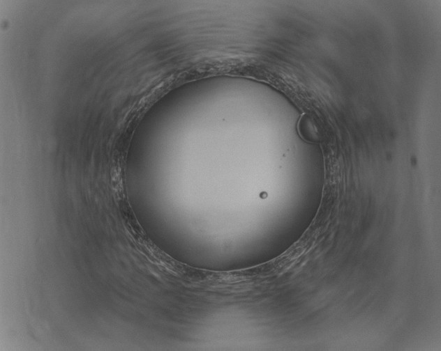 X0000073731109200608241250