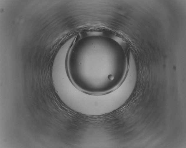 X0000073731110200608241250