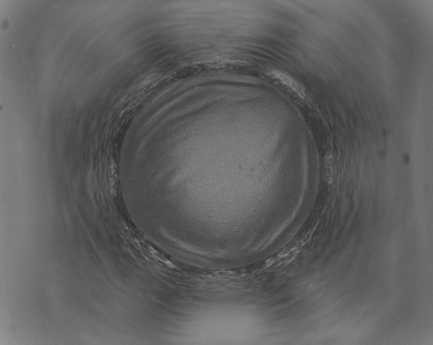 X0000073731111200608241250