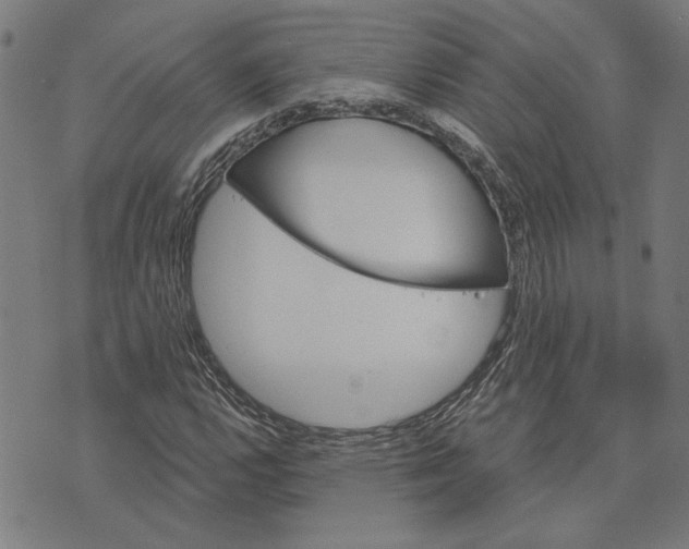 X0000073731112200608241250