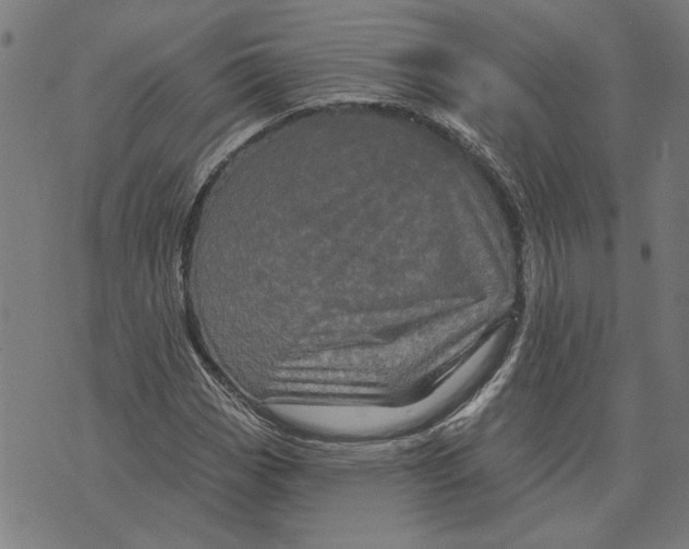 X0000073731113200608241250