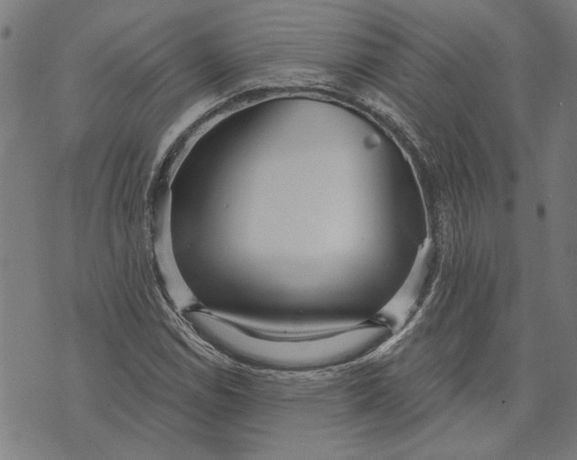 X0000073731114200608241250