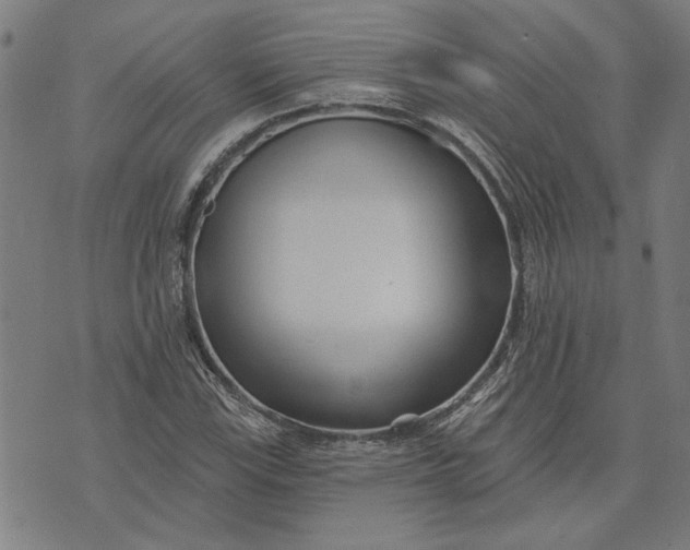 X0000073731115200608241250