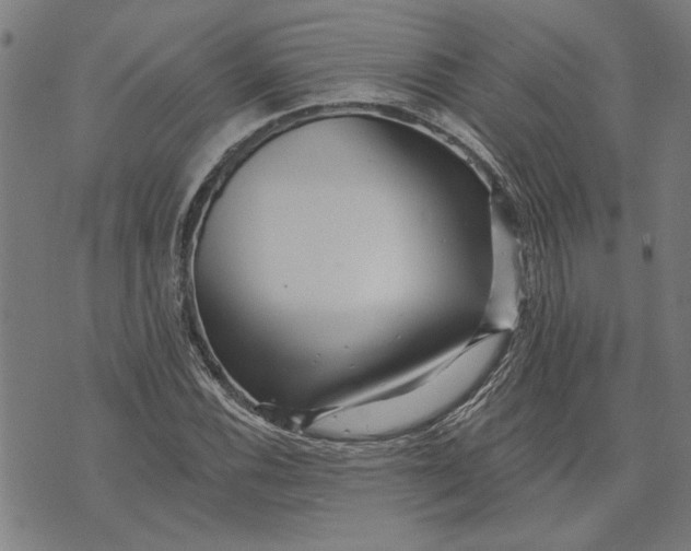 X0000073731116200608241250