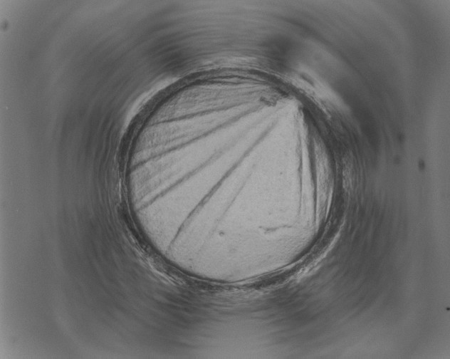 X0000073731117200608241250