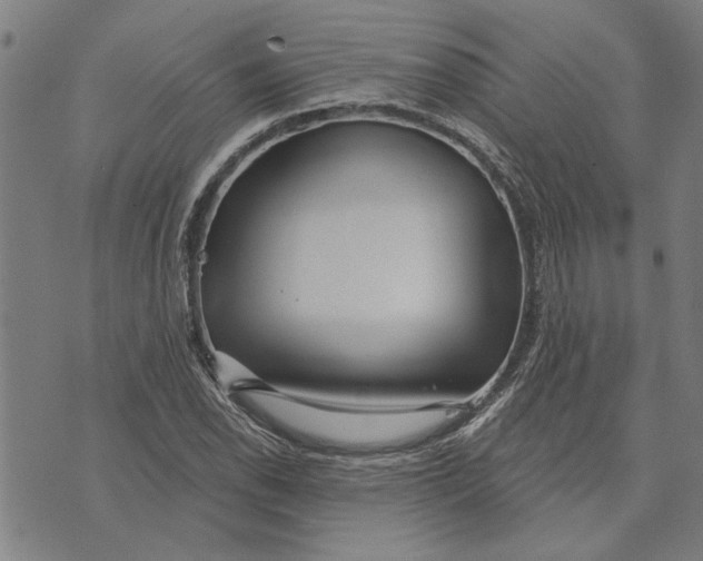 X0000073731118200608241250