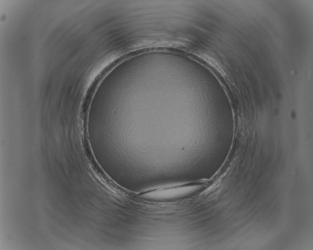 X0000073731119200608241250