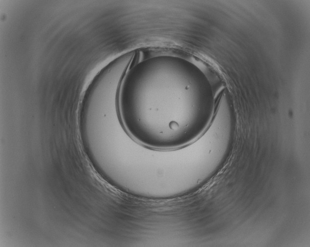 X0000073731120200608241250