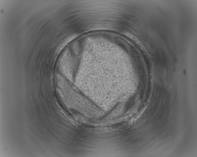 X0000073731121200608241250