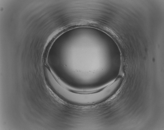 X0000073731122200608241250