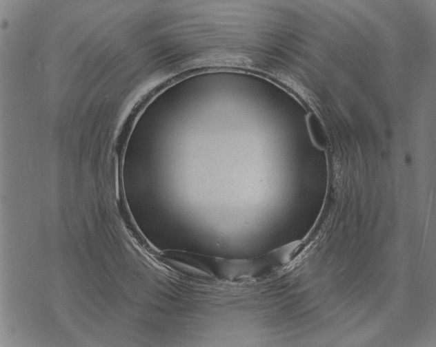 X0000073731123200608241250