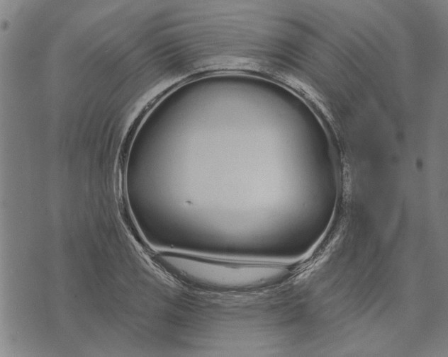 X0000073731125200608241250