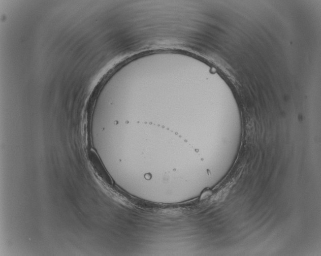 X0000073731126200608241250