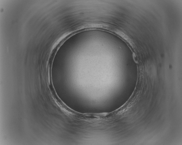 X0000073731127200608241250