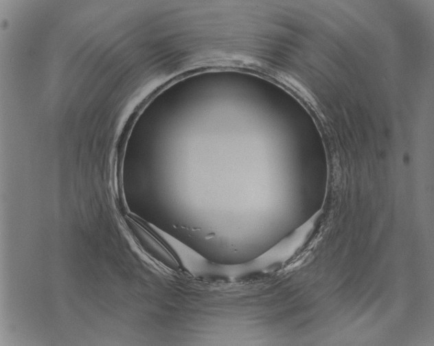 X0000073731128200608241250