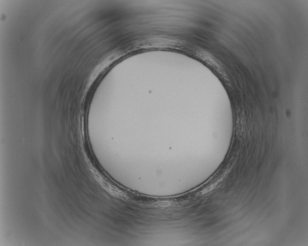 X0000073731130200608241250