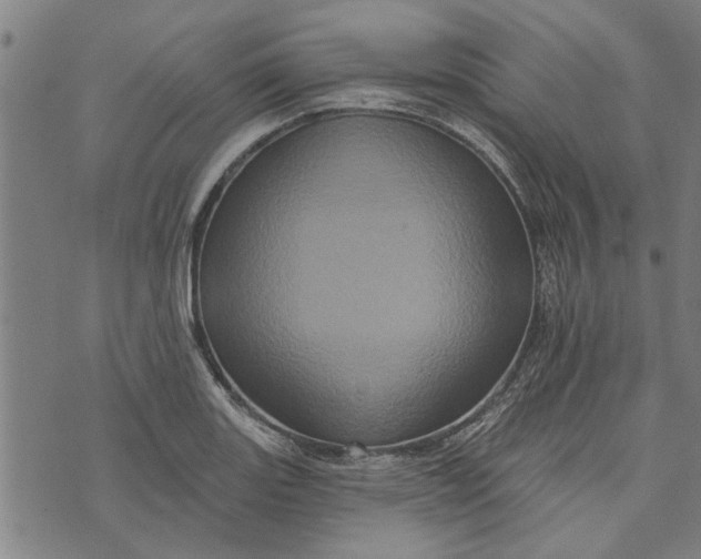 X0000073731131200608241250