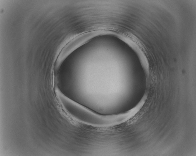 X0000073731132200608241250