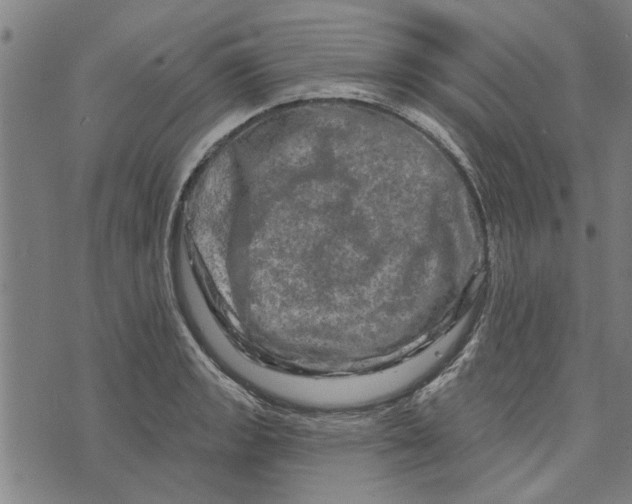 X0000073731133200608241250