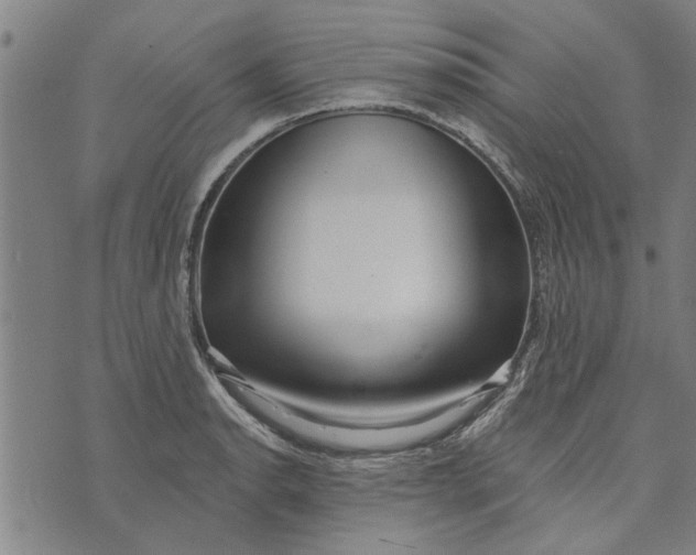 X0000073731134200608241250