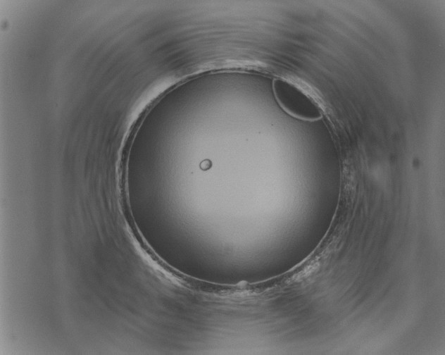 X0000073731135200608241250