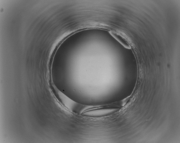 X0000073731136200608241250