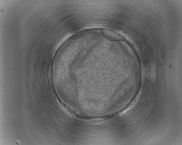 X0000073731137200608241250