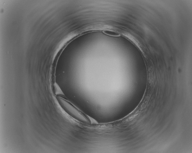 X0000073731139200608241250