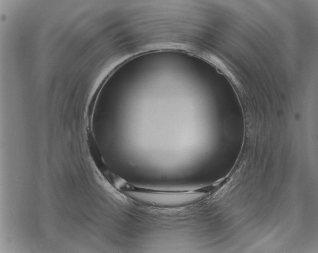 X0000073731140200608241250