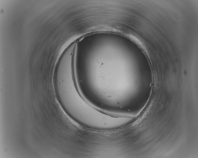 X0000073731141200608241250