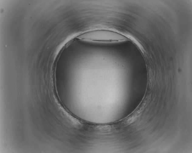 X0000073731142200608241250