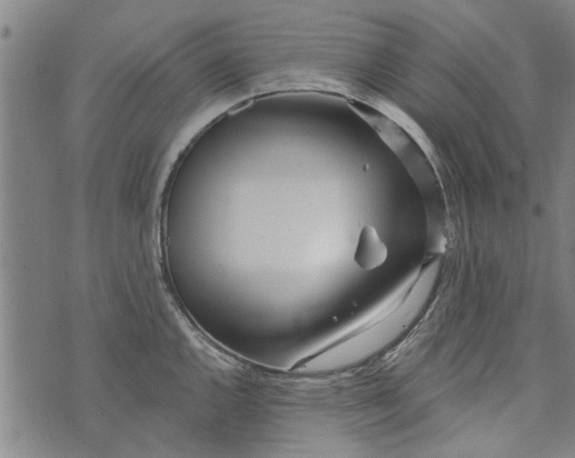 X0000073731144200608241250