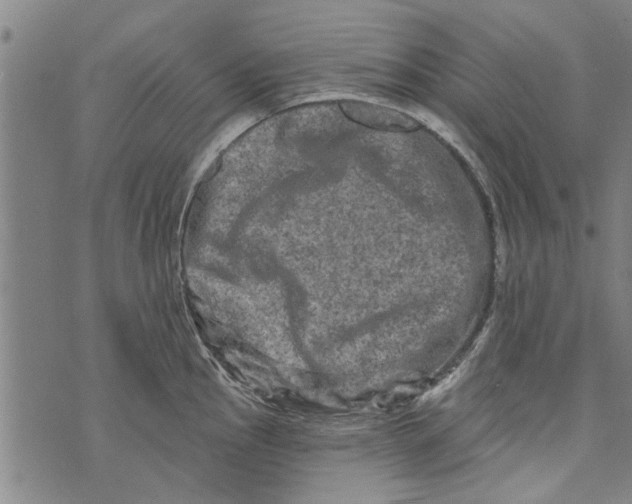 X0000073731145200608241250