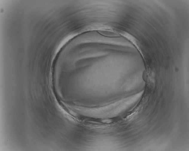 X0000073731147200608241250