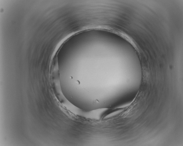 X0000073731148200608241250