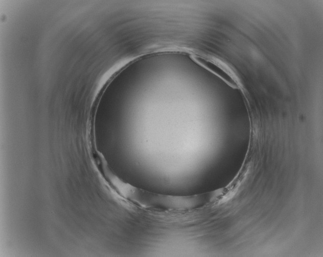 X0000073731149200608241250