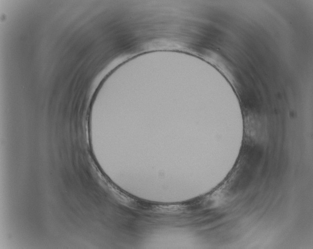 X0000073731150200608241250