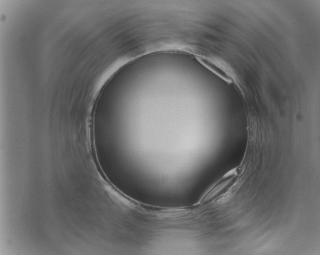 X0000073731151200608241250