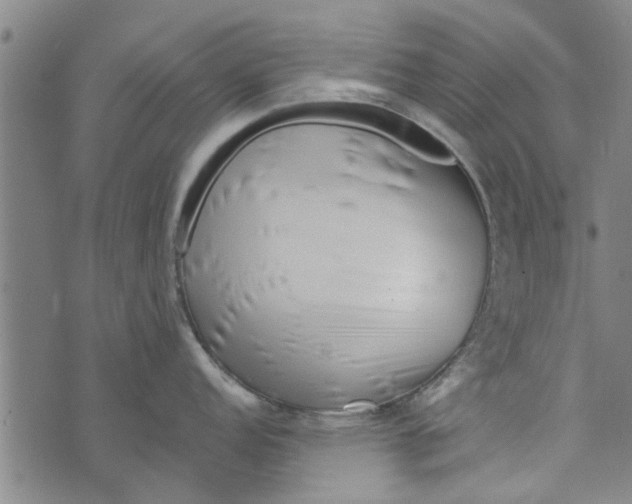 X0000073731152200608241250