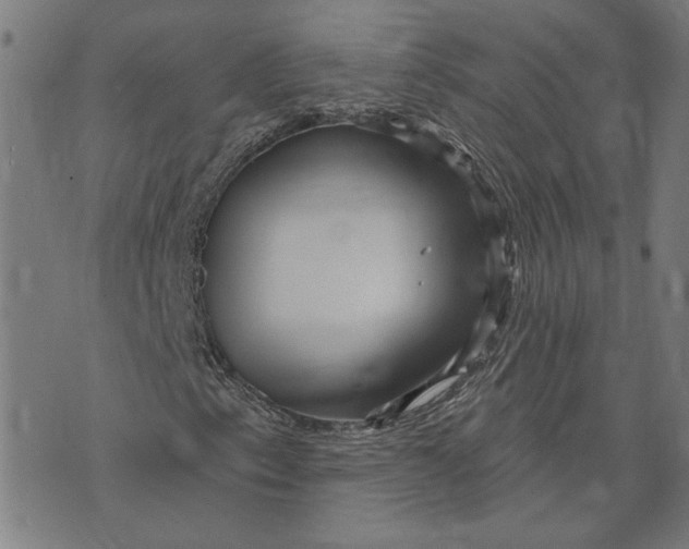 X0000073731153200608241250