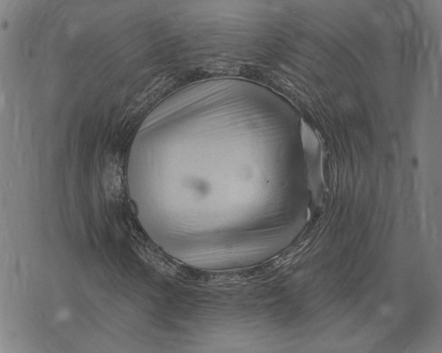 X0000073731154200608241250