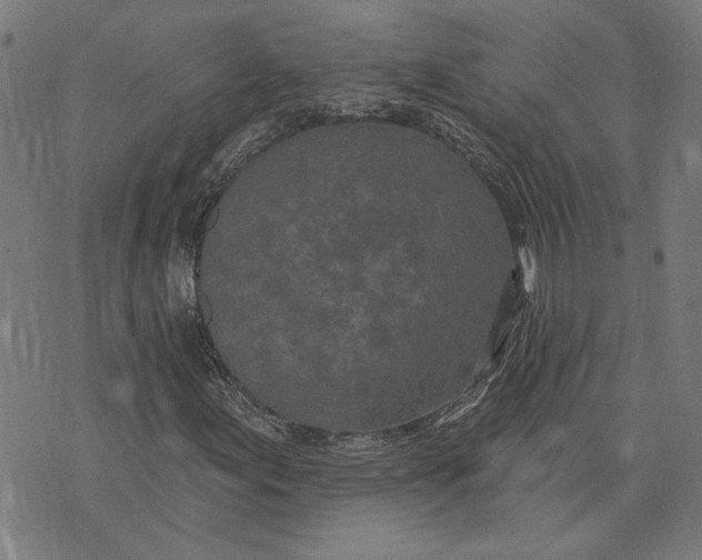 X0000073731155200608241250