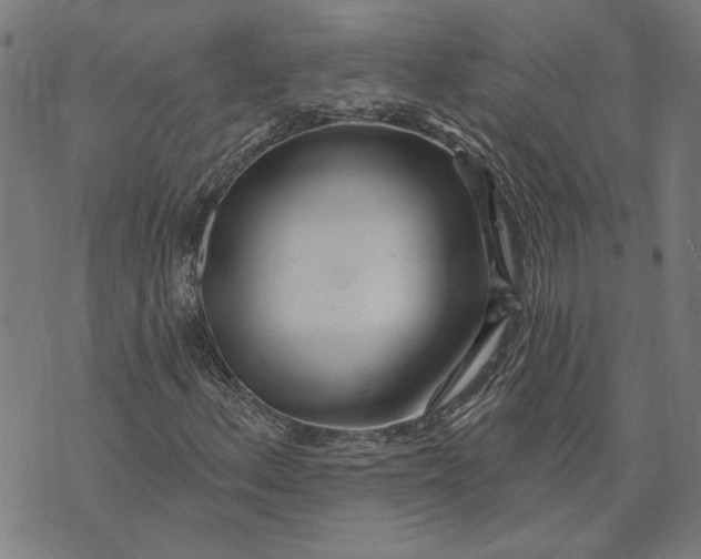 X0000073731156200608241250