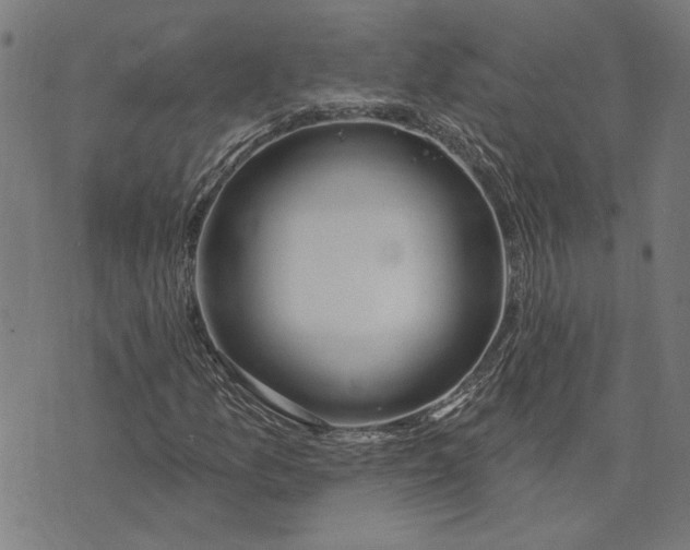 X0000073731157200608241250